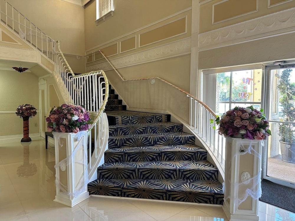 Windsor Inn Of Jacksonville Buitenkant foto
